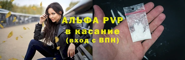 сатива Алзамай