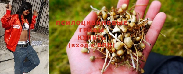 ГАЛЛЮЦИНОГЕННЫЕ ГРИБЫ Алексин