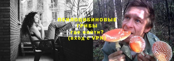 ГАЛЛЮЦИНОГЕННЫЕ ГРИБЫ Алексин