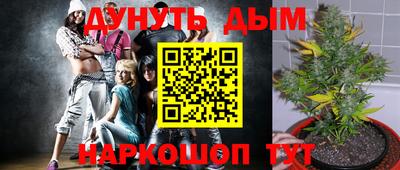 молекула духа Бийск